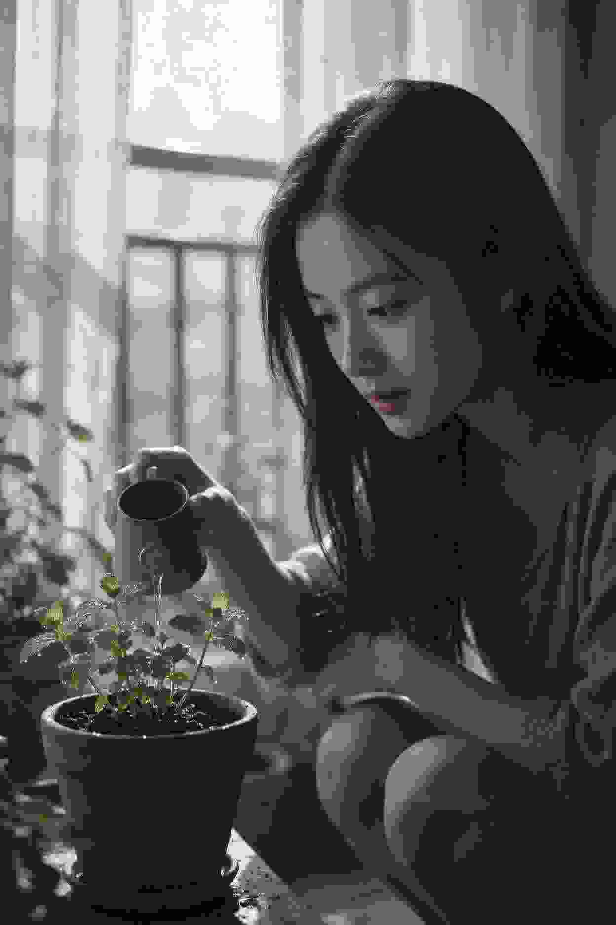 顶楼